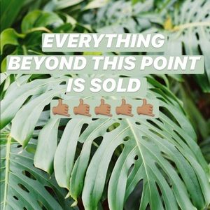 everything beyond this point is sold